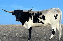 GH Marked Investment